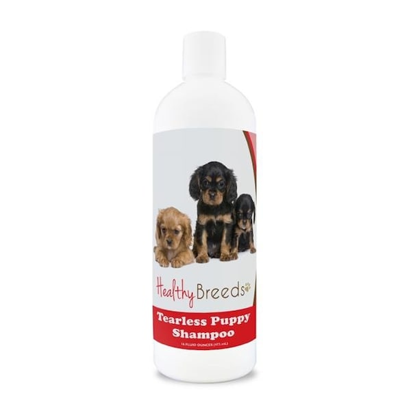 Healthy Breeds 840235104452 Cavalier King Charles Spaniel Tearless Puppy Dog Shampoo 840235104452 - main
